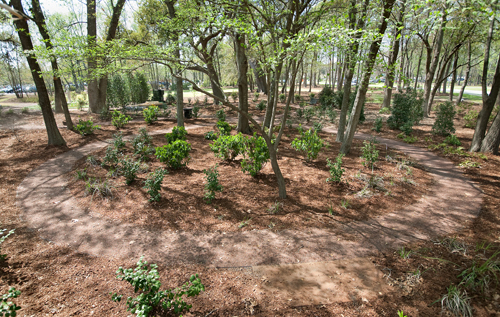 Camellia Garden