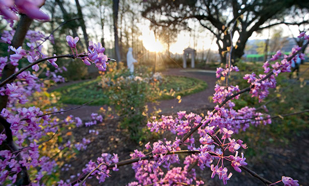 Meditation Garden