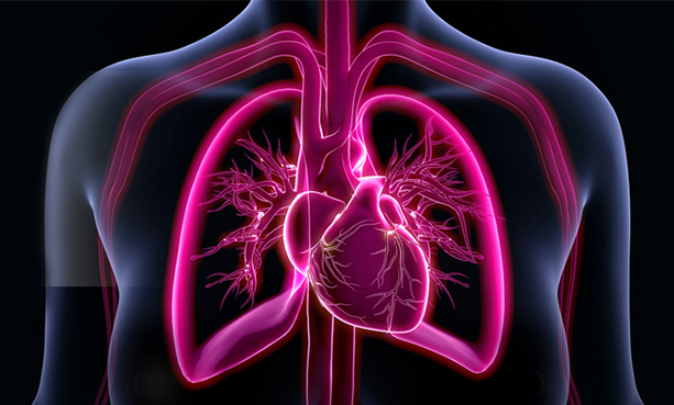 chest x-ray